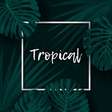 Dark green minimalistic vector design with exotic monstera palm leaves.