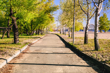 Magic morning with the rising sun creating a play of light in the alley city park.