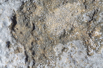 texture of natural salt