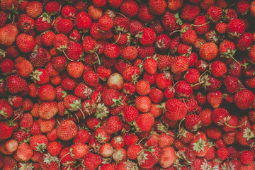background from freshly harvested strawberries, directly above