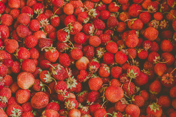 background from freshly harvested strawberries, directly above