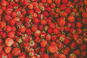 background from freshly harvested strawberries, directly above