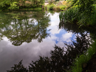 Lumsdale Mill Pond with Reeds Trees and Blue Sky and White Cloud Reflections