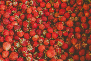 background from freshly harvested strawberries, directly above