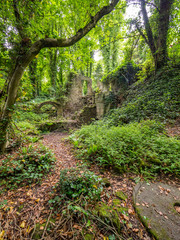 Ruined Building in Verdant Green Woods with Millstone in Foreground