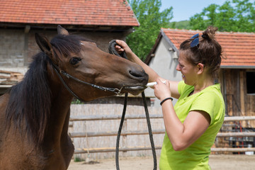 Young veterinarian girl  on a farm giving a medicine to a horse