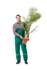 Young man gardener isolated on white