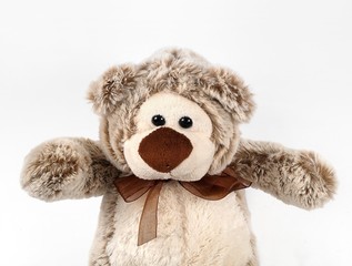 Children's toy: teddy bear