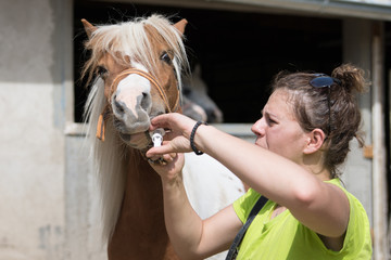 Young veterinarian girl  on a farm giving a medicine to a pony
