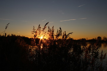 Sunset at the lakeside