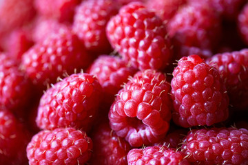 Raspberry fruit background. Close up. Super food with vitamins and antioxidants. Macro photo