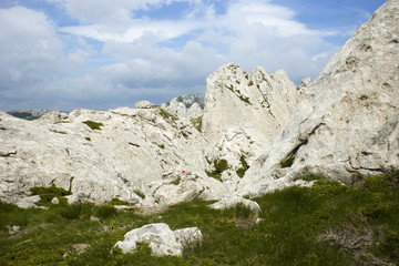 Fototapeta na wymiar Velebit (Tulove grede), mountain in Croatia, landscape