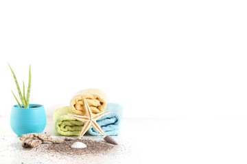 Aloe Vera in a Turquoise Pot with Sand, Sea Shells, Starfish and Towels, White Background