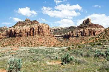 Sandstone Buttes from the Canyon Floor