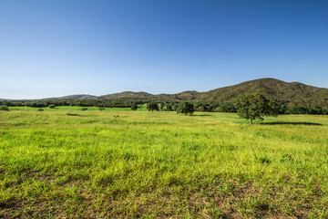 Green Field in Pirenopolis