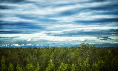 Fototapeta premium OLYMPUS DIGITAL CAMERA