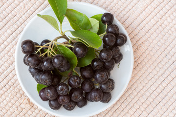 Close up of Aronia melanocarpa berries (black chokeberry) with leaves in white dish on textile background