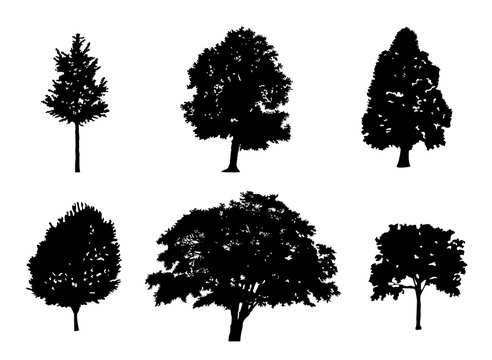Tree collection set of black silhouette illustration. vector illustration eps