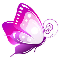beautiful pink butterflies, isolated  on a white