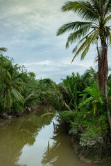 Fototapeta na wymiar a narrow channel Mekong Delta Vietnam