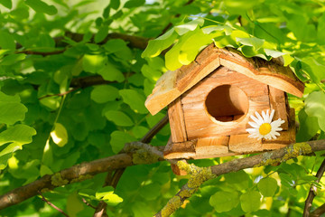 Vogelhaus -  Symbol - Wohnung, Haus im Grünen