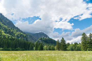 An image of the meadow and Palace Neuschwanstein in Bavaria, Germany.