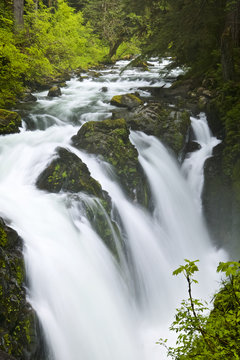 Sol Duc falls, Olympic NP, WA