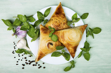 Samosa with spicy herbs on a white plate