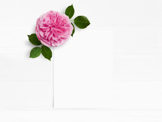 Styled stock photo. Feminine wedding desktop mockup with pink English rose flower and white empty paper card. Floral composition on old white wooden background. Top view. Flat lay picture.