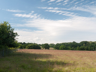 Obraz premium a farm field on a sunny day empty and peaceful