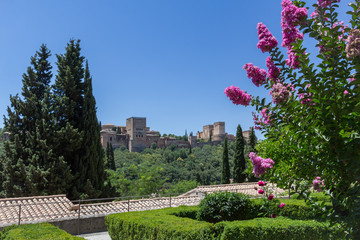 Fototapeta premium Alhambra from Casa del Chapiz