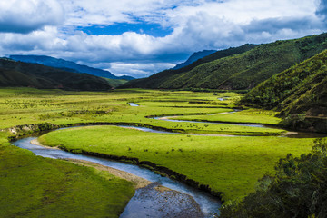 las curvas de la naturaleza