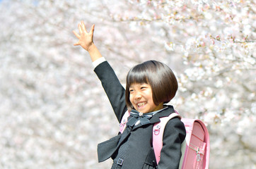 手を上げる新一年生の女の子(桜)