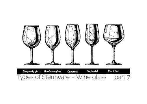 Illustration Of Stemware Types