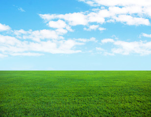 Fototapeta na wymiar Background of cloudy sky and grass