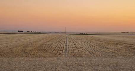 Cropped straw field in Castilla y León (Spain) countryside, at sunset in the summer