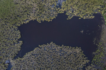 Naklejka na ściany i meble Aerial view of a green forestand al little lake in Sardinia, Italy.