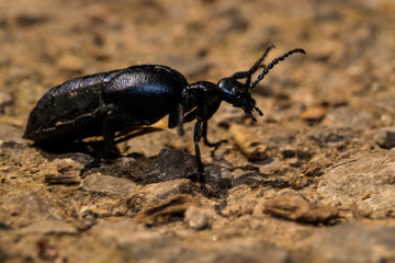 Outdoor, Freizeit, Natur, Erleben, Entdecken, Wandern, Spazieren, Erholung