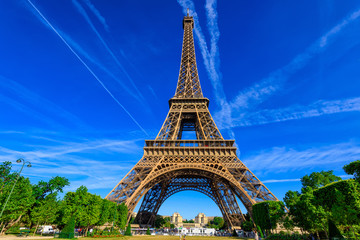 Fototapeta premium Paris Eiffel Tower and Champ de Mars in Paris, France. Eiffel Tower is one of the most iconic landmarks in Paris. The Champ de Mars is a large public park in Paris.