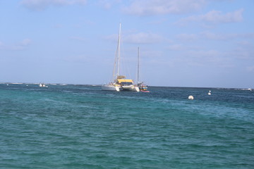 Fototapeta premium catamaran guadeloupe