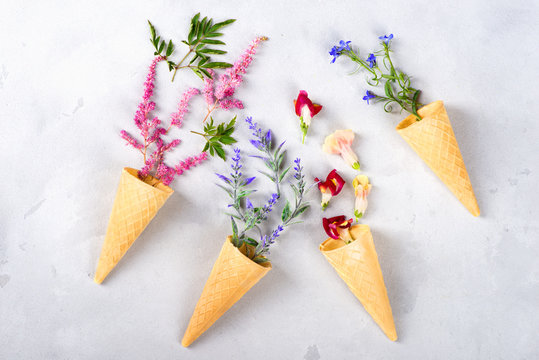 Fototapeta berries poured out from cones on a gray table