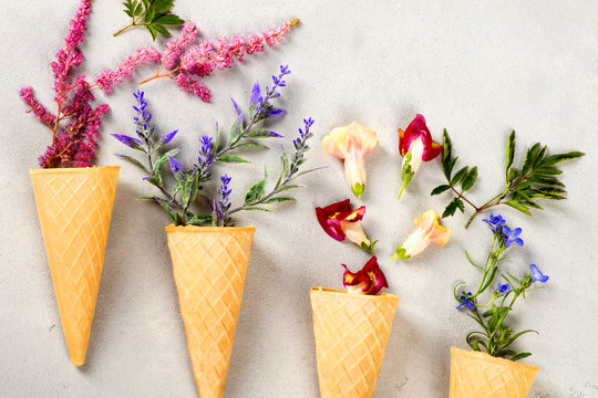 Fototapeta berries poured out from cones on a gray table