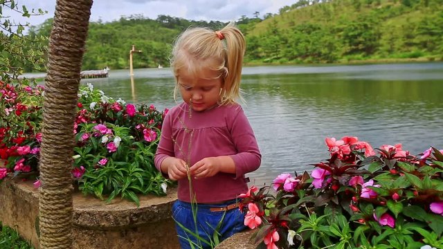 Closeup Little Girl Picks Flower Petals against Wide Lake