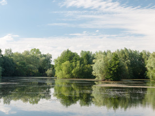 Fototapeta na wymiar Stunning a summer lake side view with trees, clouds, algae, and reflections