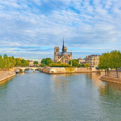 Notre-Dame cathedral in Paris, panoramic image