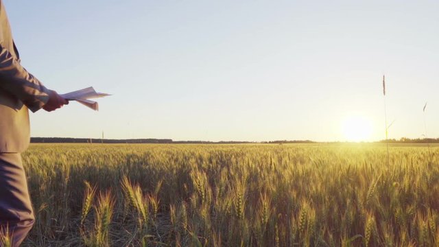 Businessman in a suit goes the wheat field with a bundle of documents, throws them away and victoriously hands up his hands, slow motion