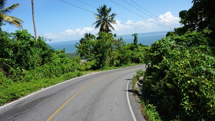 tropical street