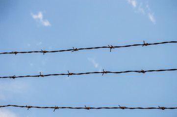 Barbed wire
