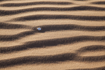 Sossus Dunes, Sand Ripples, Namibia