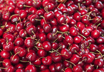 cerises en vrac cueillette 